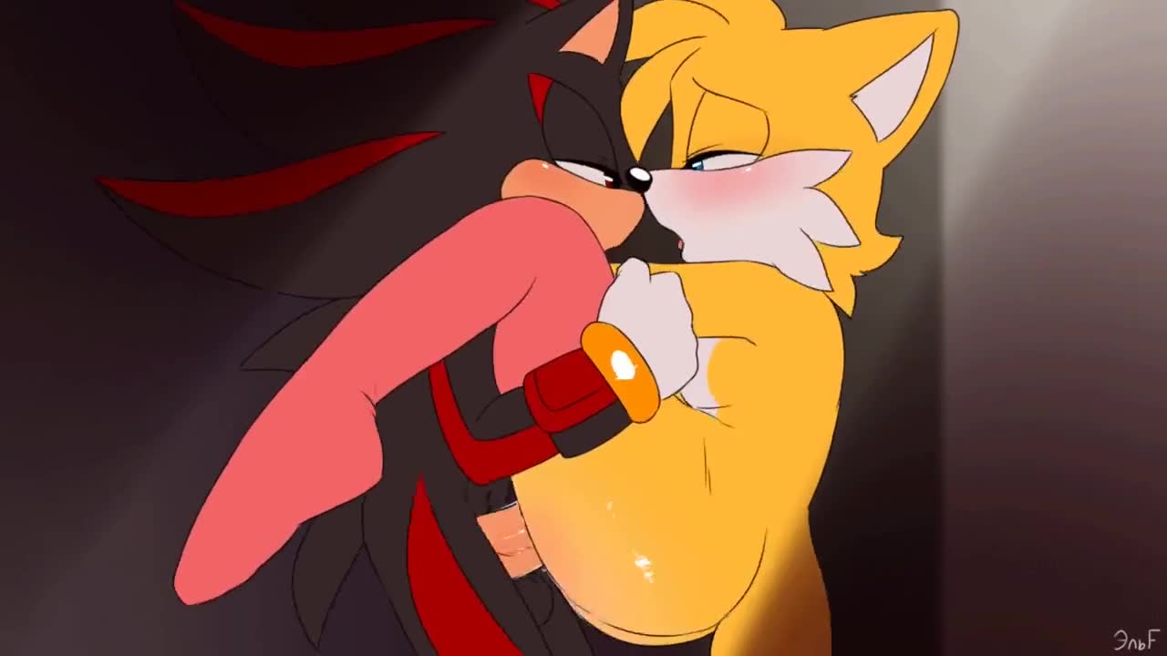 Rule34 - If it exists, there is porn of it / miles prower, shadow the  hedgehog, tails / 6098700