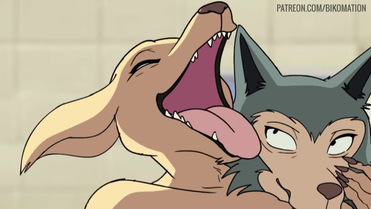 Rule34 - If it exists, there is porn of it  bikomation, jack (beastars),  legoshi (beastars)  4622047