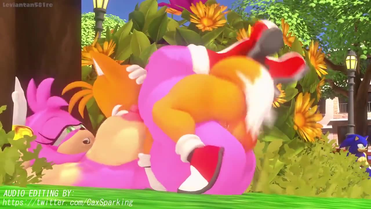 Rule34 - If it exists, there is porn of it  amy rose, tails  6420894