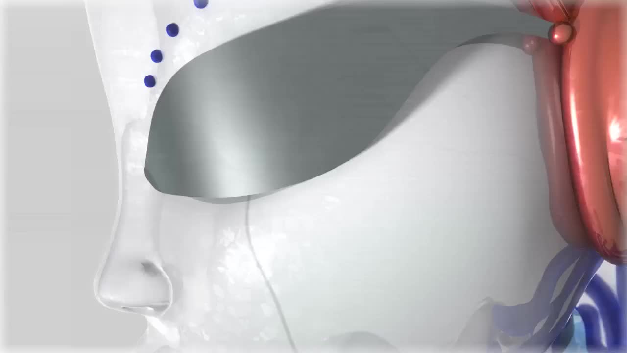 Rule34 - If it exists, there is porn of it  3dgspot, andrea 3000  8405248