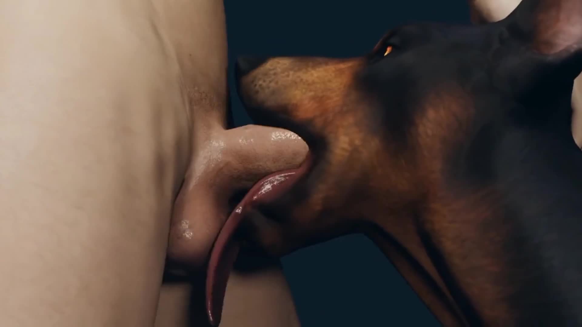 Dog face fuck porn